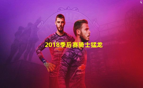 2018季后赛骑士猛龙