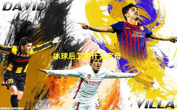 冰球后卫用什么字母
